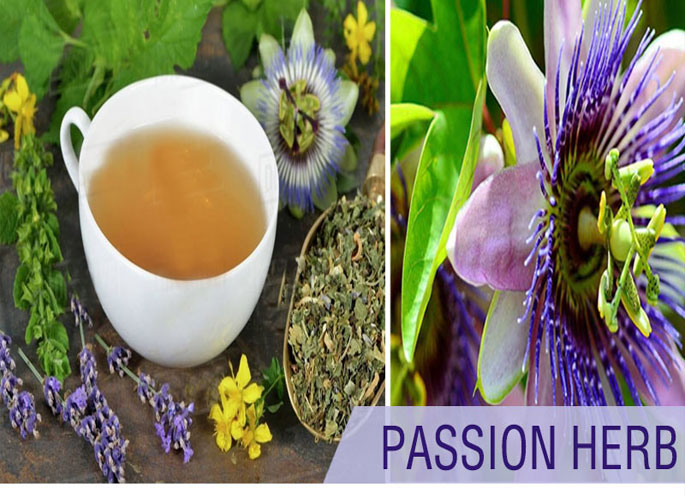 Passion Herb