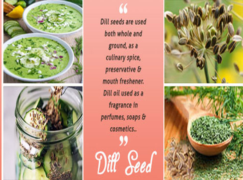 Dill Seed
