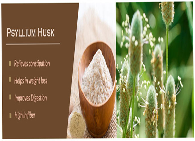 Psyllium Husk